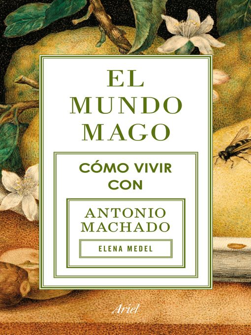 Title details for El mundo mago by Elena Medel - Available